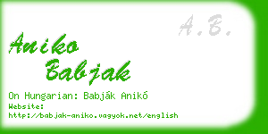 aniko babjak business card